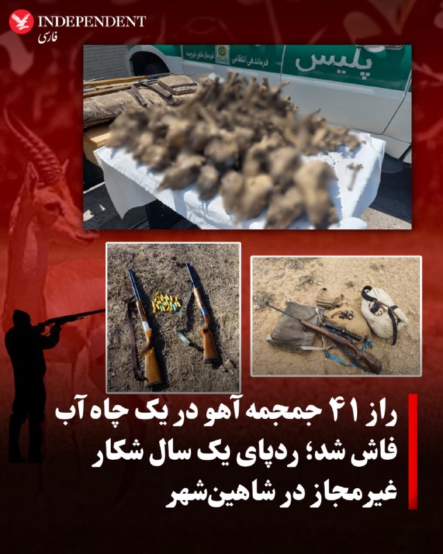 ۴۱ جمجمه آهو از یک حلقه چاه آب در شاهینشهر و میمه کشف شد، بقایای دهها آهویی که بنا بر اعلام پلیس، طی یک سال گذشته توسط دو شکارچی غیرمجاز در مناطق