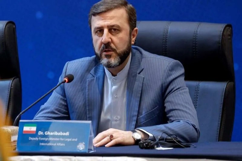 حمایت بریکس از الحاق ایران به سازمان تجارت جهانی/ غریبآبادی: بیانیه دهلینو در چندین محور با مواضع ایران همراستا است