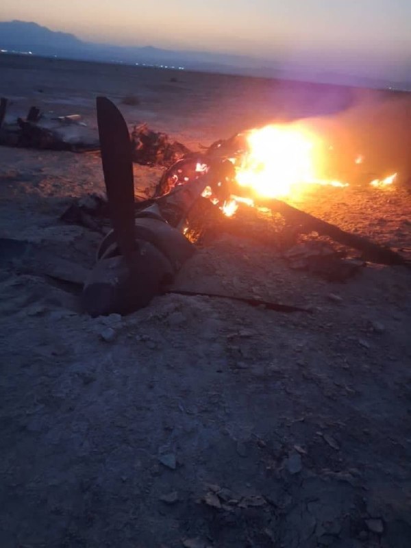 Images of downed drone in Kormoj County, Bushehr released