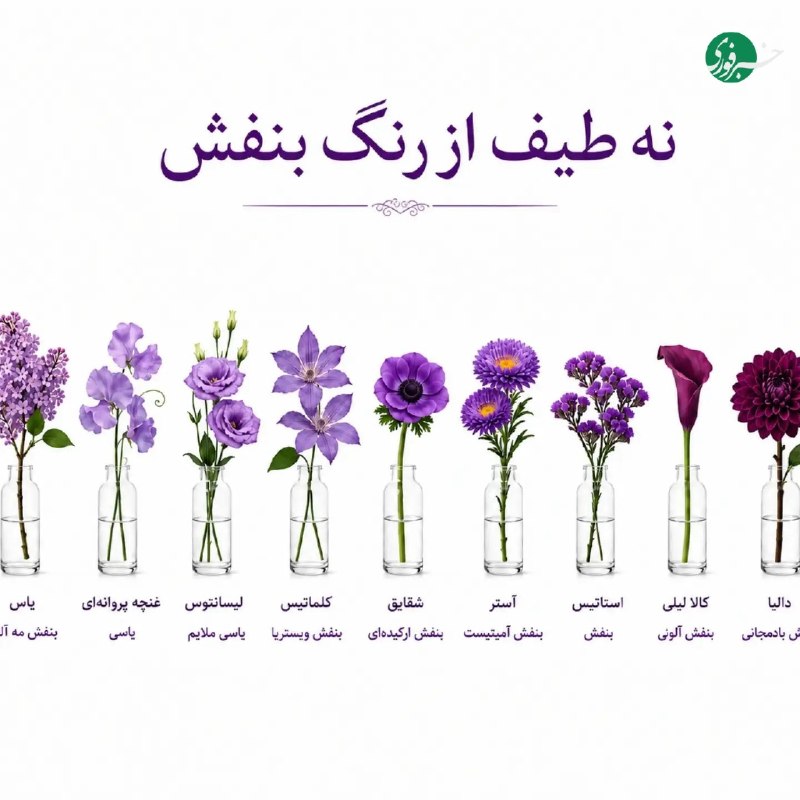 شناخت رنگها با الهام از گلهای طبیعی
