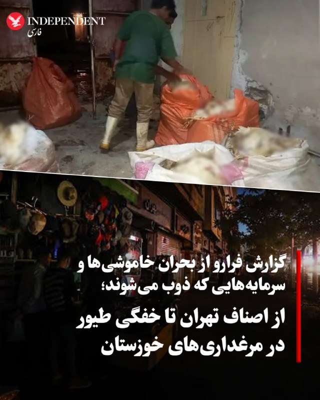 فرارو با اشاره به بحران قطع برق در ایران مینویسد، وقتی برق بدون اطلاع قبلی قطع میشود، خسارت آن به چند ساعت توقف فعالیت محدود نمیماند