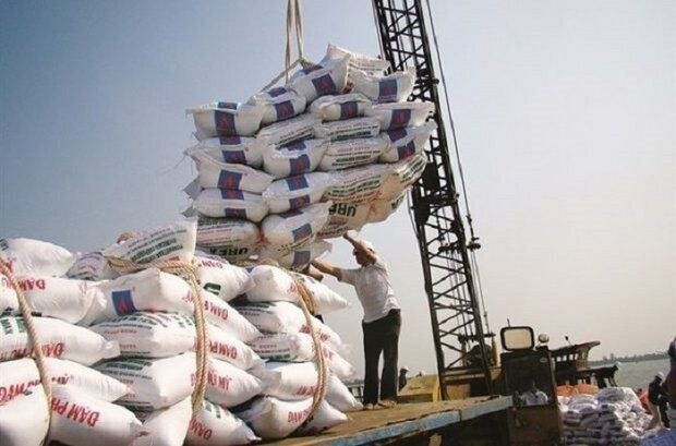 تکذیب واردات مستقیم برنج از آمریکا / دبیر انجمن واردکنندگان برنج: محمولههای ۷۰۰ تنی توسط اشخاص حقیقی و از عراق وارد شده است خاکی، دبیر انجمن