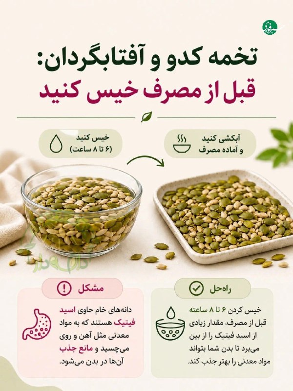 اشتباهات رایج در مصرف دانهها که ممکن است تمام خواص آنها را از بین ببرد 🇮🇷 ✊