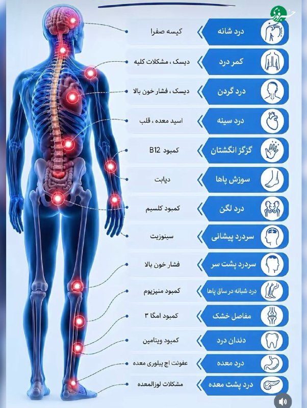 نقشه دردهای بدن؛ هر نقطه درد بدن، نشانه چیست؟