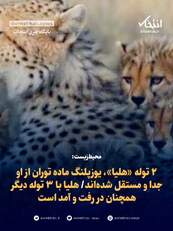 محیطزیست