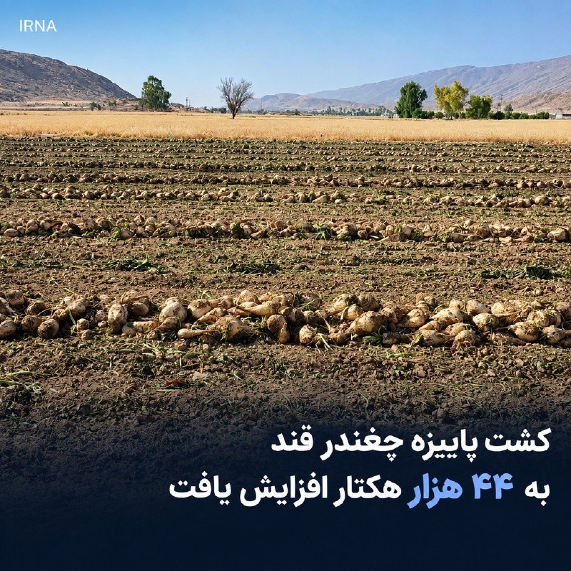 معاون وزیر جهاد کشاورزی