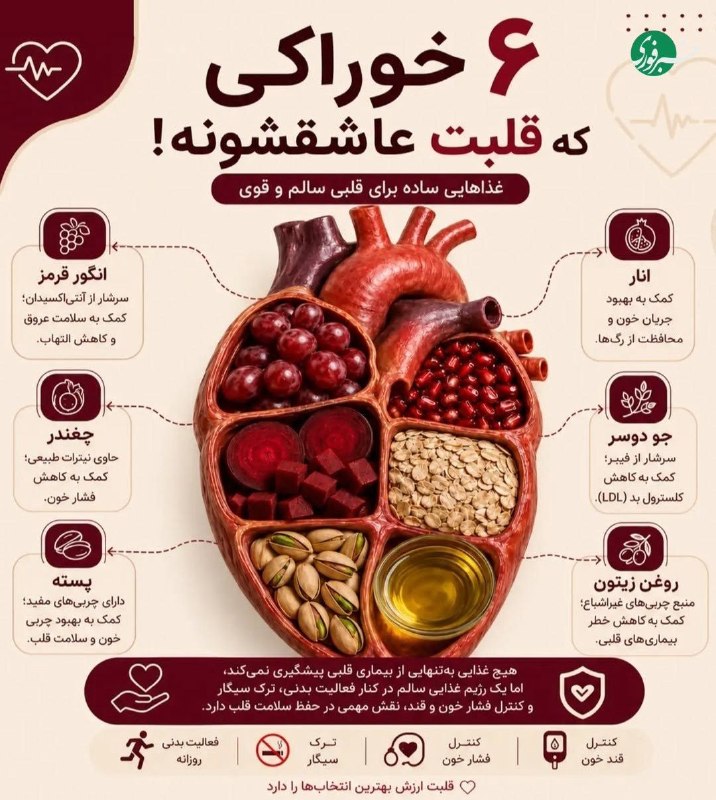 ۶ خوراکی معجزهگر برای سلامت قلب 🇮🇷 ✊
