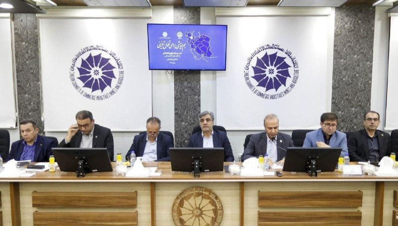 مدیرعامل تامین اجتماعی: بازنشستگی ۵۲ درصد از کارگران با سنوات ارفاقی نگران کننده است