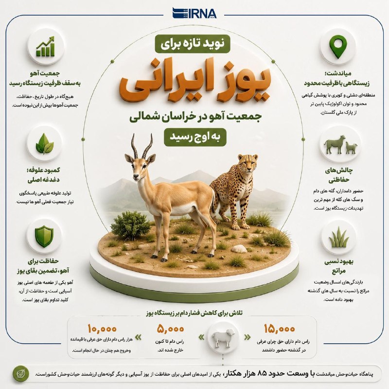 Deer Population in Miandasht Wildlife Sanctuary Reaches Habitat Capacity