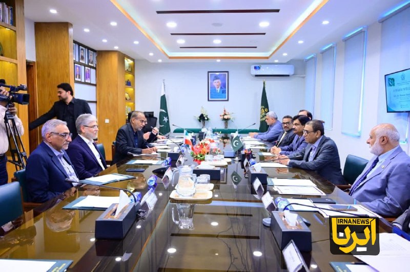 هر ۱۰ شهرستان کردستان در رشته کونگفو فعال هستند
