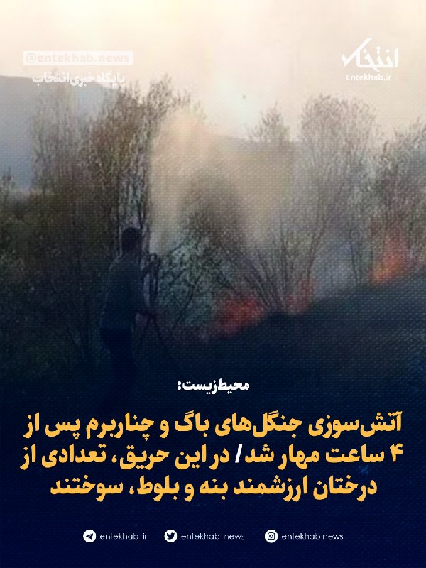 محیطزیست