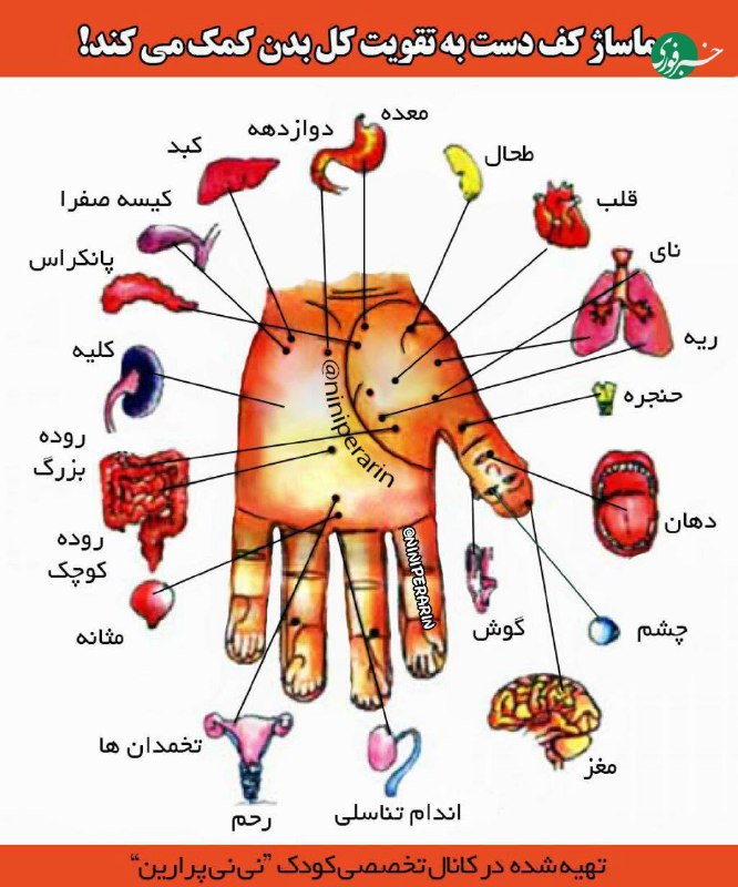 ماساژ کف دست به درمان بیماریها کمک میکند