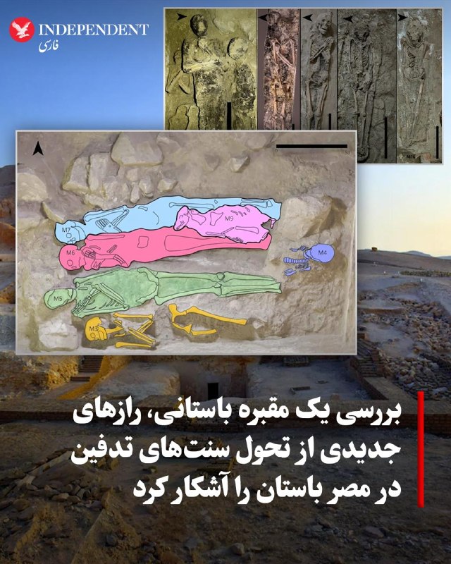 به گزارش نشریه علمی «فرانتیرز»، بر اساس یافتههای یک پژوهش باستانشناسی جدید در اسپانیا درباره مقبرهای در شهر باستانی «تبس» در مصر، مصریان باستان