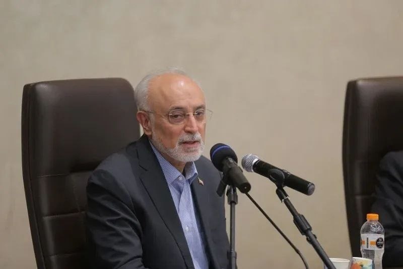 علی اکبر صالحی: از دیوار بیاعتمادی ایران و آمریکا عبور نمیشود، مگر با بسیج کردن عقل، هوشمندی و حکمت سیاسی