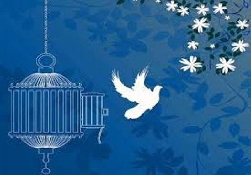 پرونده قتل عمد در کوهرنگ با رضایت اولیای دم مختومه شد