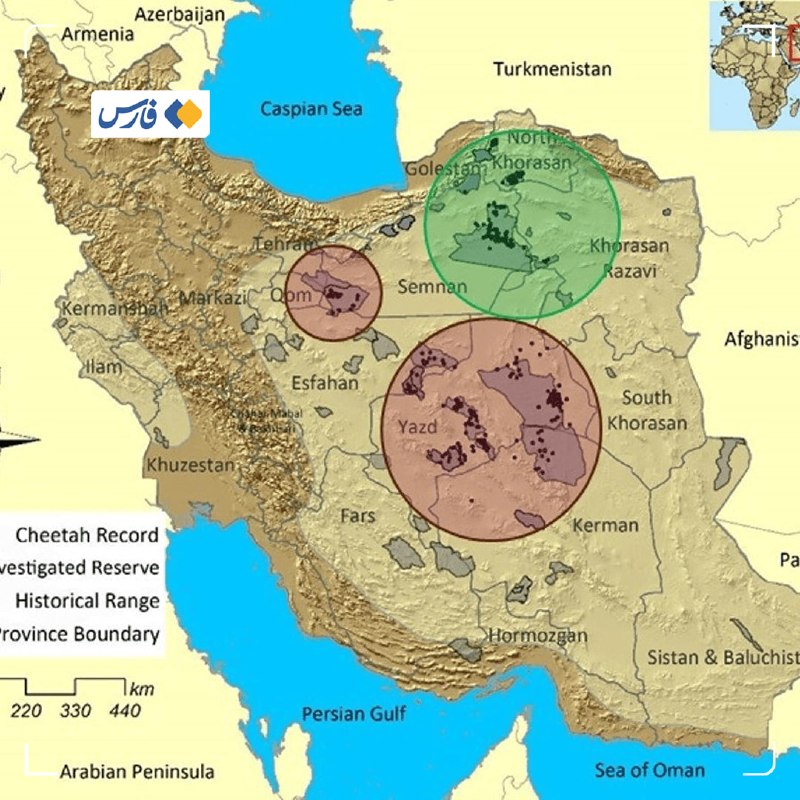 توران در انتظار تکمیل دیوار نجات یوزهای ایران