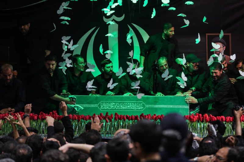 در فصلی که انسان آفتاب پرست را شگفت می بیند