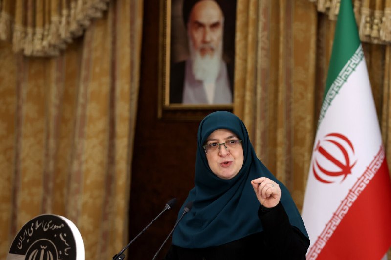 امید از دل همدلی برمیخیزد فاطمه مهاجرانی سخنگوی دولت