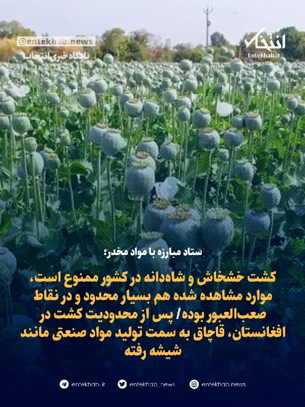 ستاد مبارزه با مواد مخدر