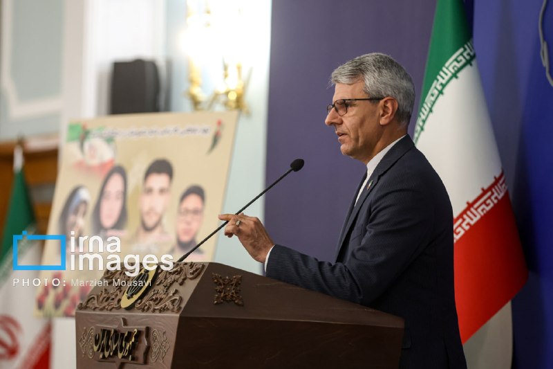 بقائی: تجربه اشغال متفقین از ضمیر ایرانیان فراموش نمیشود/ اقتدار ملی تنها عامل بازدارندگی