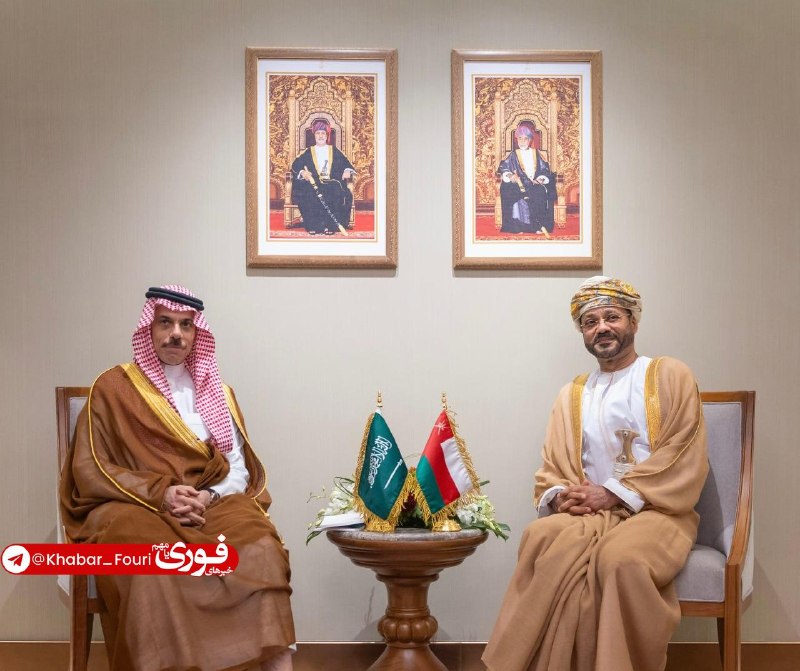 Oman and Saudi Foreign Ministers Consult on Strait of Hormuz