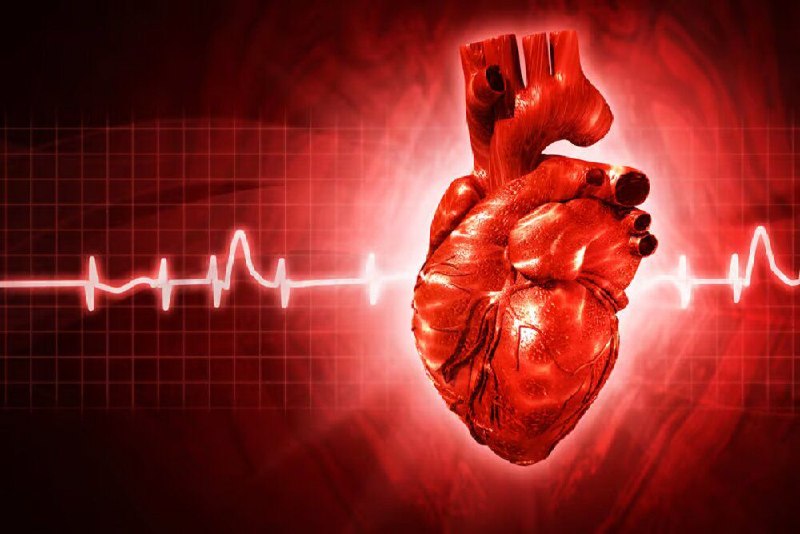 تولید دریچه قلب انسانی و ۷ داروی جدید معاون تحقیقات علوم پزشکی تهران در گفتوگو با ایسنا