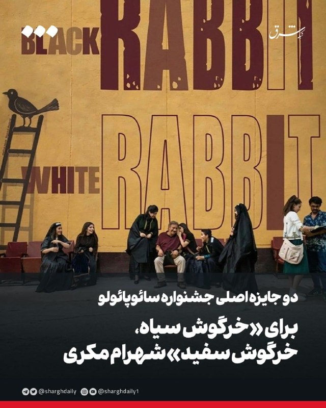 دو جايزه اصلی جشنواره سائوپائولو براى «خرگوش سياه، خرگوش سفيد» شهرام مکری