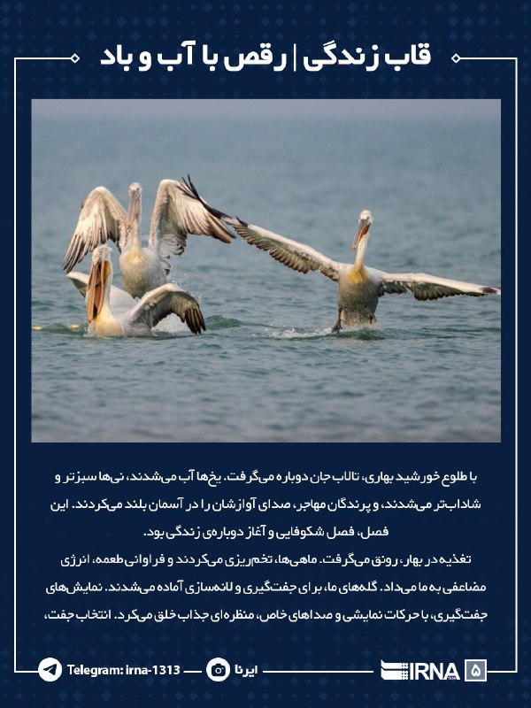 رقص با آب و باد