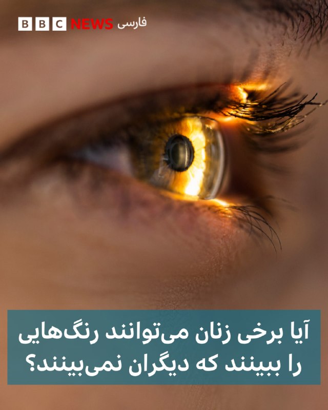 بیشتر انسانها در شبکیه چشم خود سه نوع سلول مخروطی دارند