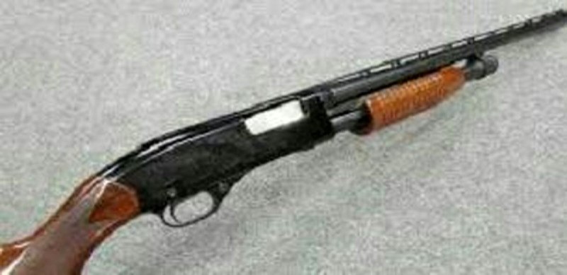 گزارش میدهد