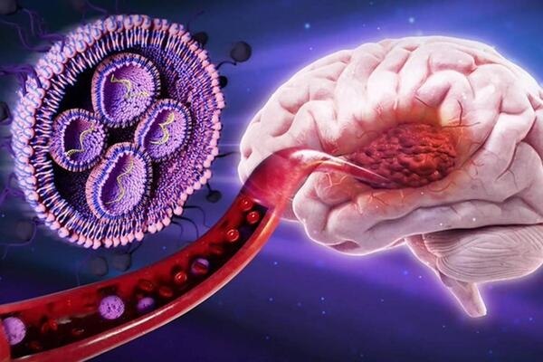 Sugar Nanoparticles Destroy Cancer