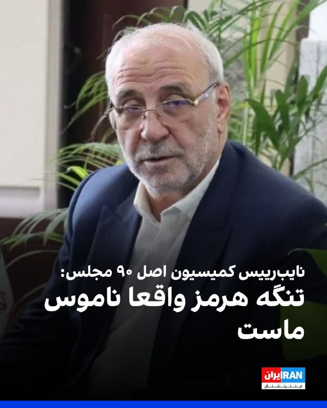 حسینعلی حاجیدلیگانی، نایبرییس کمیسیون اصل ۹۰ مجلس، تنگه هرمز را ناموس ایران خواند