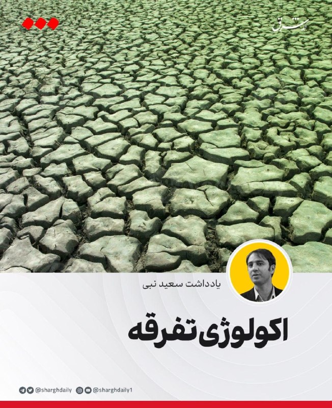 Ecology of division: Divide and rule is a logic in governance