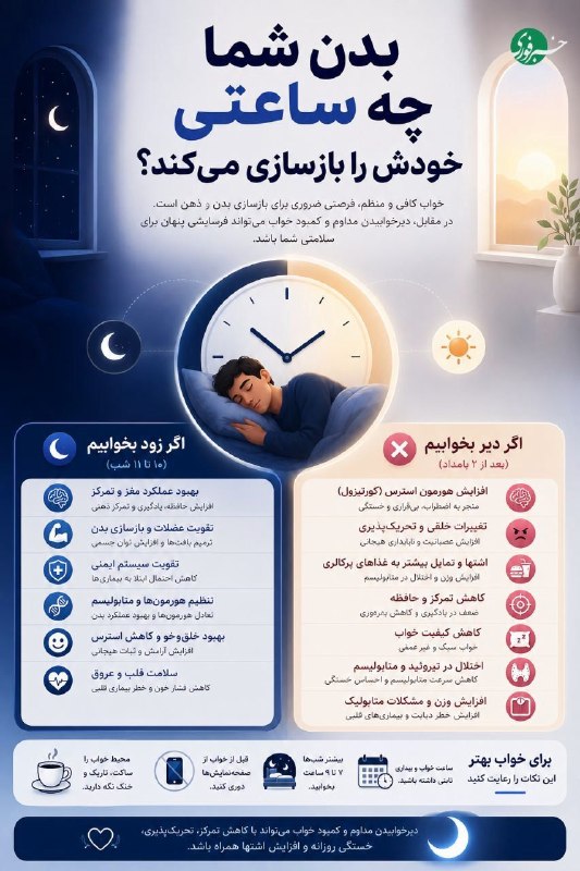 At What Time Does the Body Regenerate Itself?