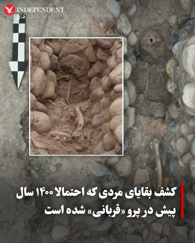 باستانشناسان در پرو بقایای اسکلتی مردی را کشف کردهاند که احتمال میدهند حدود هزار و ۴۰۰ سال پیش «در یک مراسم آیینی قربانی شده است.» این اسکلت در
