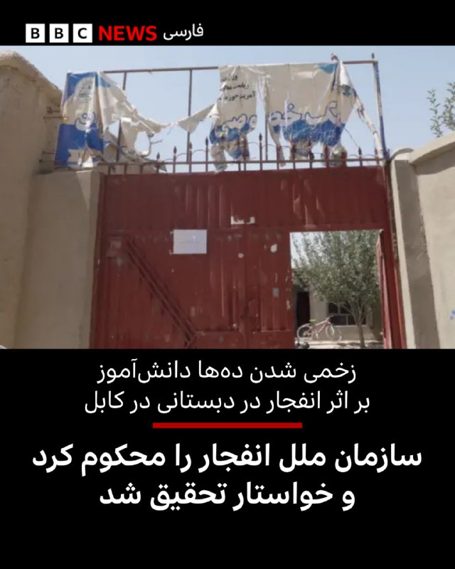 گزارشگر ویژه سارمان ملل در امور حقوق بشر افغانستان وقوع انفجار در دبستانی در کابل را محکوم کرده و خواهان تحقیق درباره آن شده است