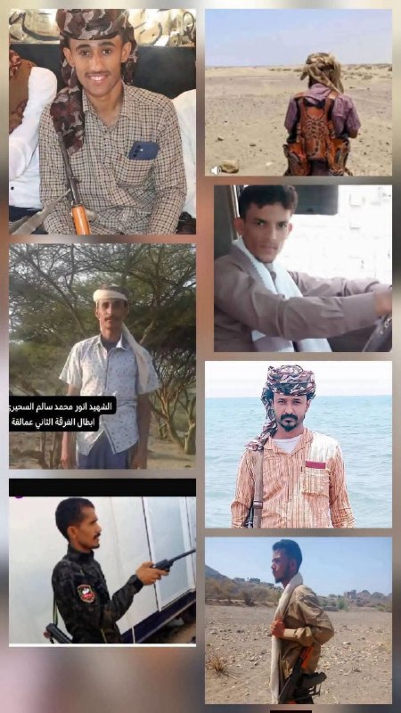 Yemen Armed Forces reported the killing of several commanders and forces affiliated with the UAE and Saudi Arabia in a strike operation
