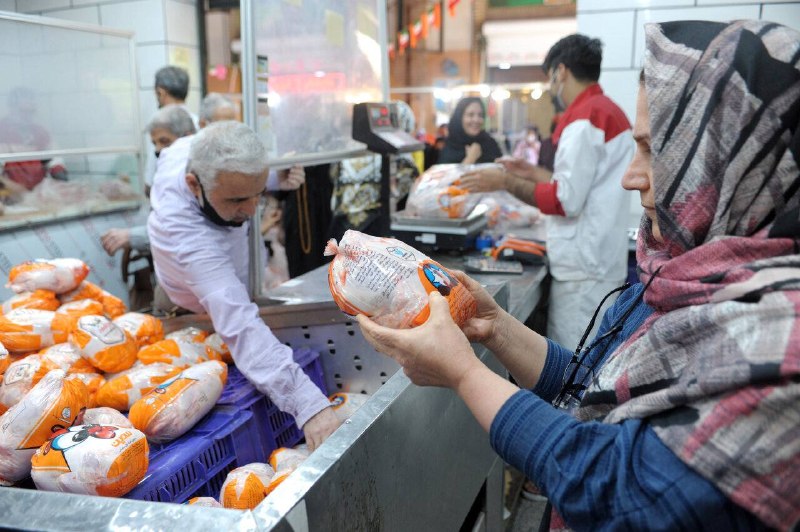 🐓 وزیر کشاورزی: عدهای چون منافعشان با خودکفایی مرغ به خطر افتاده برچسبهایی به تولید داخل میزنند اما هیچ مرغ آلوده ای در کشور توزیع نشده و نخواهد شد