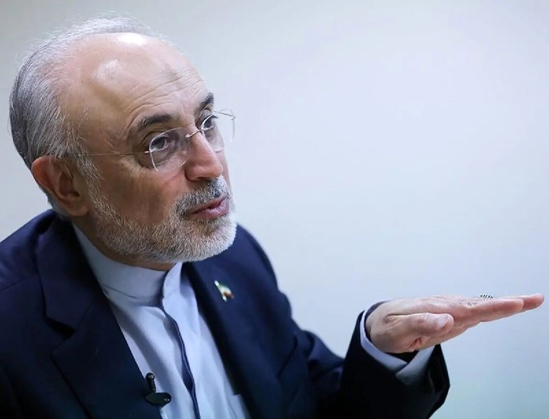 صالحی خاطراتی از دیدگاه دیپلماتیک آیتالله علی خامنهای را بازگو کرد