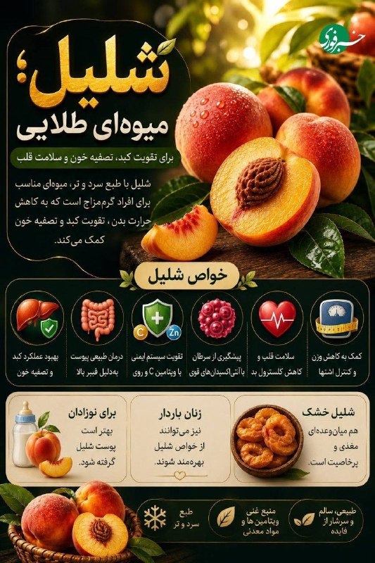 شلیل؛ میوهای طلایی برای سلامتی 🇮🇷 ✊