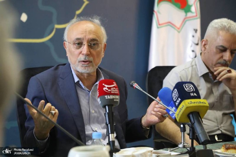 علی اکبر صالحی: تفاهم نامه ایران و آمریکا میتوانست منافع قابل توجهی برای ایران به همراه داشته باشد