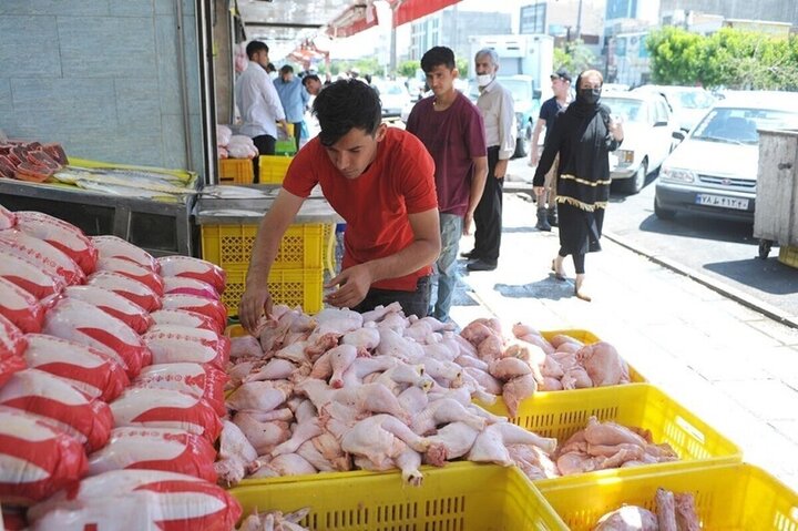 🍗 قیمت مرغ | ۱۲ مرداد ۱۴۰۵