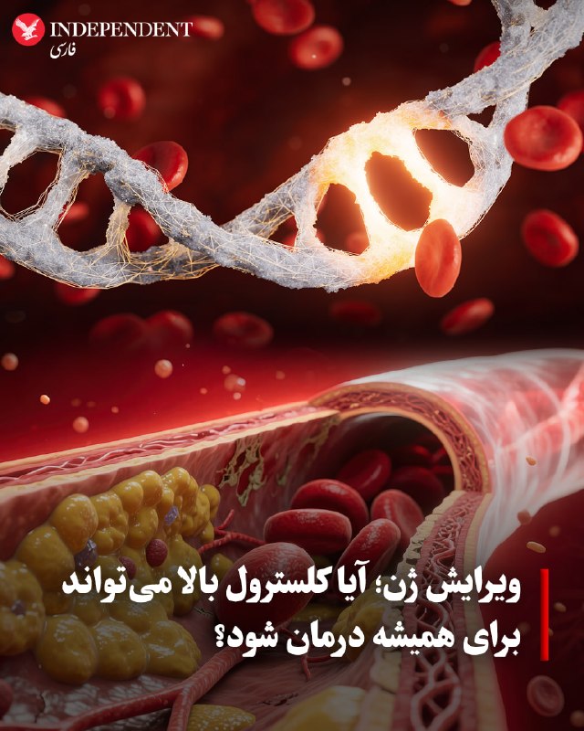 به گزارش سیانان، دانشمندان در حال آزمایش روشی مبتنی بر ویرایش ژن هستند که میتواند با یک بار تزریق، سطح کلسترول بد و تریگلیسرید را برای بیش از یک سال کاهش دهد