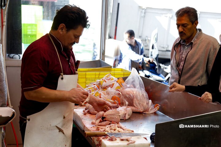 🍗 قیمت مرغ | ۳۱ مرداد ۱۴۰۵