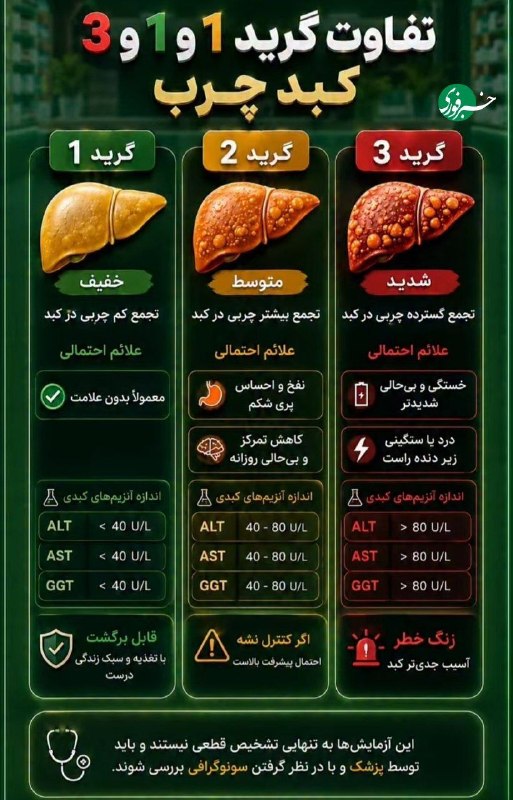 از خفیف تا خطرناک؛ کبد چرب گرید ۱، ۲ و ۳ چه فرقی با هم دارن؟