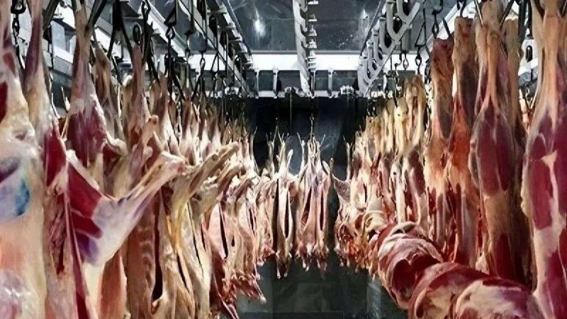 قیمت گوشت قرمز | شهریور ۱۴۰۵ هر کیلوگرم گوشت ران بدون استخوان گوسفندی