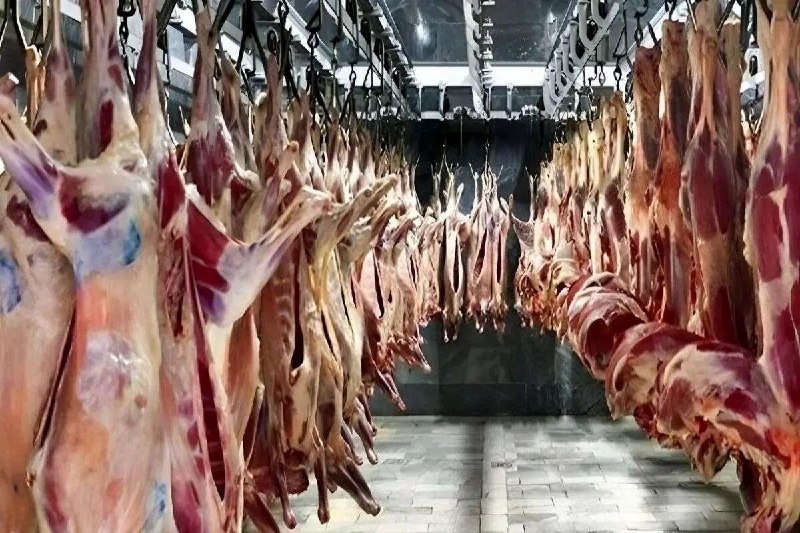🥩 قیمت گوشت قرمز | شهریور ۱۴۰۵