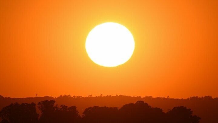 What is the Story of Edible Sunscreens?