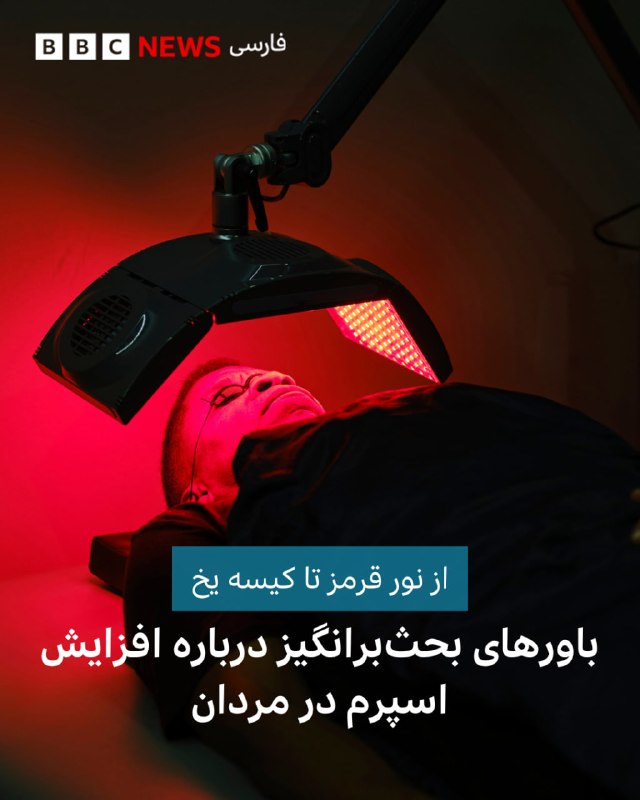  سایمون هر روز صبح راهی سونا میشود