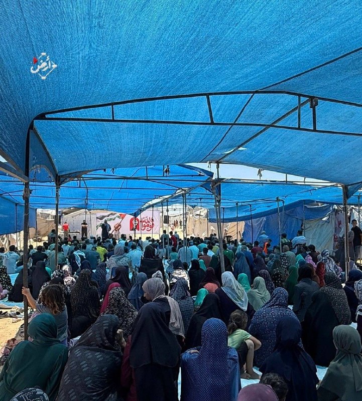 Situation of displaced persons in Gaza